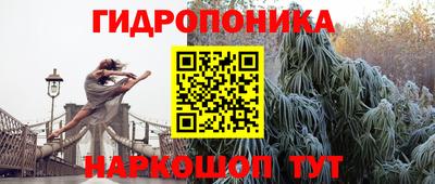 шишки Нарткала