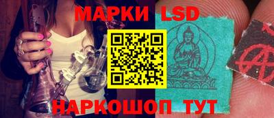 прущие грибы Нальчик