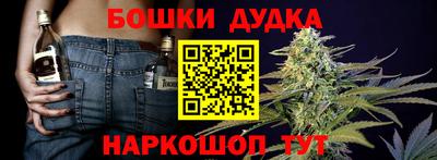 шишки Нарткала